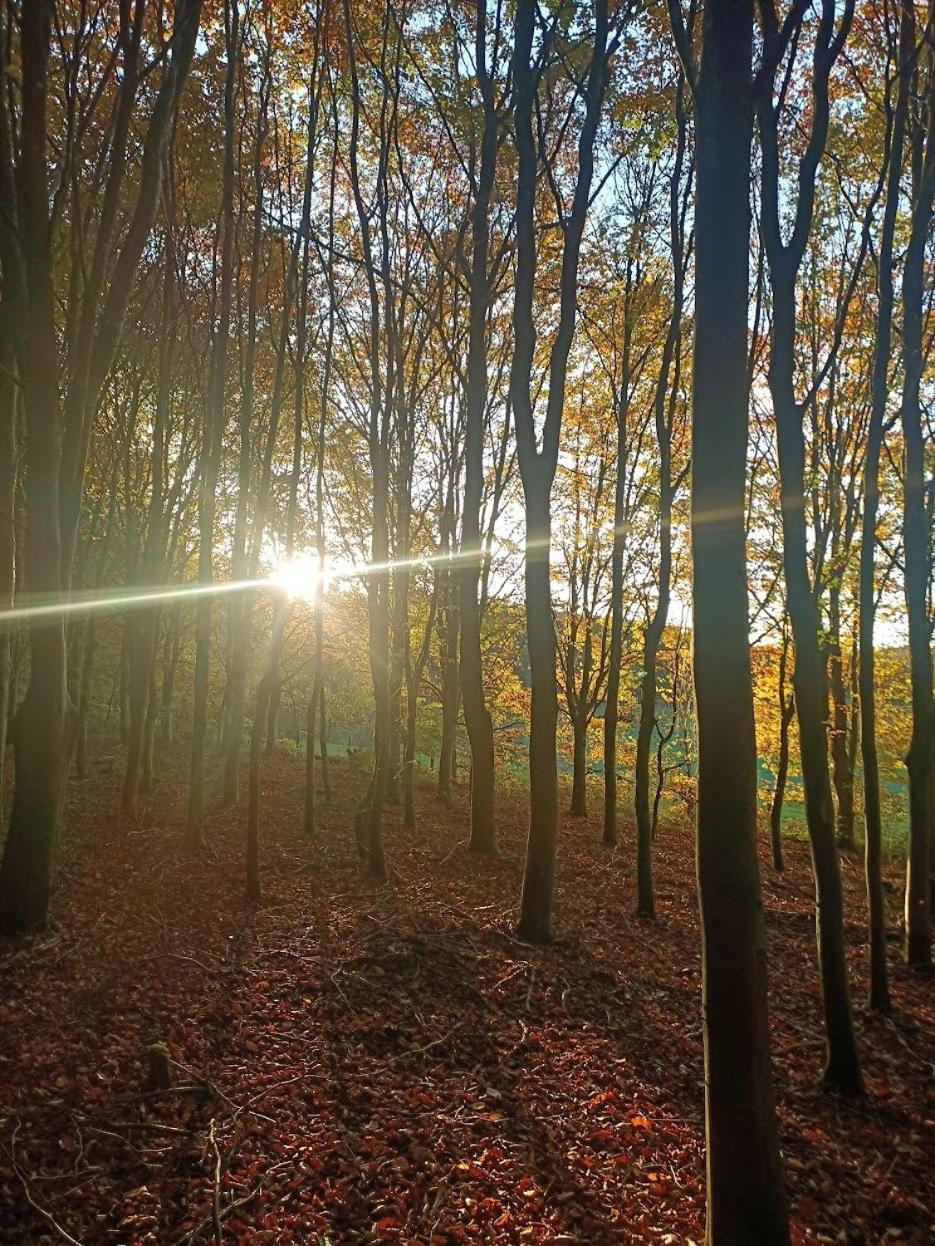 Vila Dri Les Courtils La-Roche-en-Ardenne Exteriér fotografie