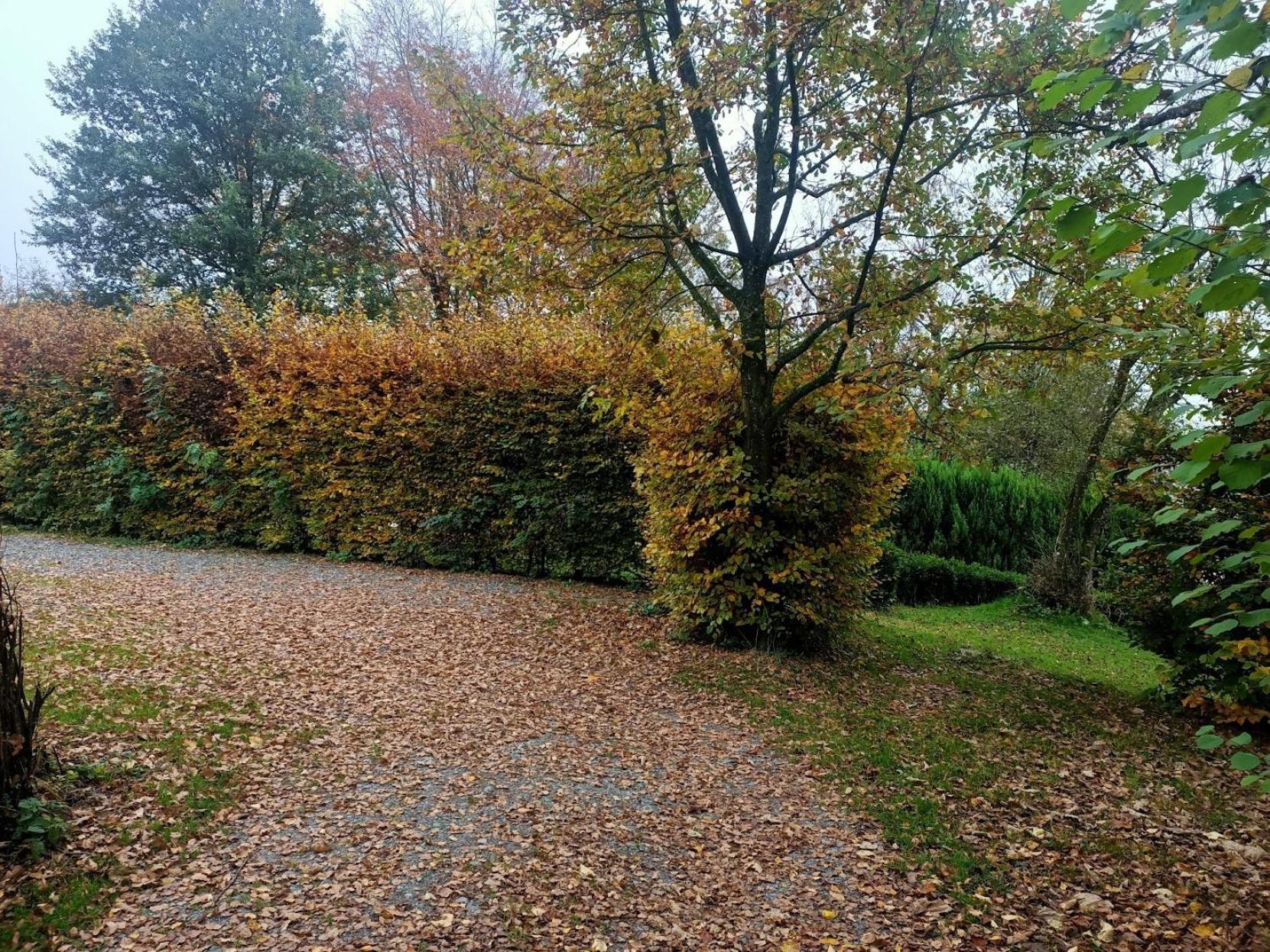 Vila Dri Les Courtils La-Roche-en-Ardenne Exteriér fotografie